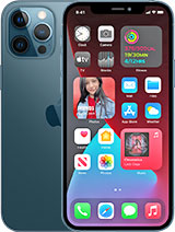 iPhone 12 Pro Max Handyhüllen